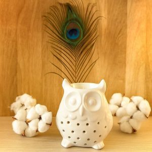 bruleur-hibou-blanc